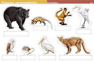 Paisajes sorprendentes            Animales         65




2o preescolar | interiores.indd 65              2/15/10 12:40:45 PM
 