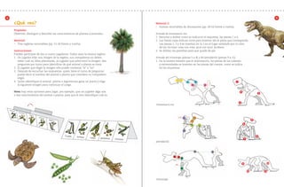 4                                                                                                                                                                                                                  9
                 ¿Qué veo?                                                                          Material 2:
                                                                                                    •	 Huesos recortables de dinosaurios (pp. 49-50 frente y vuelta).

                 Propósito:
                 Observar, distinguir y describir las características de plantas y animales.        Armado de tiranosaurio rex:
                                                                                                    1.	 Recortar y doblar como se indica en el esquema, las piezas 1 a 4.
                 Material:                                                                          2.	 Las líneas rojas indican corte para insertar ahí la pieza que corresponda.
                 •	 Tres regletas recortables (pp. 21-26 frente y vuelta).                              Las piezas 1, 3 y 4 se insertan en la 2 en el lugar señalado por el color 	
                                                                                                        de los círculos: rosa con rosa, azul con azul, etcétera. 		
                 Instrucciones:                                                                     3.	 Se doblan las pestañas para que quede de pie.
                 Pueden participar de dos a cuatro jugadores. Todos usan la misma regleta.
                 1.	 Un jugador elije una imagen de la regleta, sus compañeros no deben             Armado del triceratops (piezas 5 a 8) y del pterodáctilo (piezas 9 a 12).
                     saber cuál es, ellos plantearán, al jugador que seleccionó la imagen, dos      1.	 De la misma manera que el tiranosaurio, las piezas de las cabezas 		
                     preguntas por turno para identificar de qué animal o planta se trata.              y extremidades se insertan en las piezas del cuerpo, como se indica 		
                 2.	 El jugador que eligió la imagen sólo puede contestar “sí” o “no”.                  en los esquemas.
                 3.	 Después de escuchar las respuestas, quien tiene el turno de preguntar
                     puede decir el nombre del animal o planta que considera su compañero
                     eligió.
                 4.	 Quien identifique el animal, planta o leguminosa gana un punto y elige 	                                                                           1
                     la siguiente imagen para continuar el juego.

                 Nota: hay otras opciones para jugar, por ejemplo, que un jugador diga una 	                                                                                4
                                                                                                                                                                                                     2
                 o dos características del animal o planta, para que el otro identifique cuál es.

                                                                                                                                                                            3
                                                                                                    tiranosaurio rex




                                                                                                                                                                                             5
                                                                                                                                                                                6




                                                                                                                                                                                                 8
                                                                                                                                                                                    7
                                                                                                    pterodáctilo




                                                                                                                                                                                9                             10


                                                                                                                                                                                        12               11


                                                                                                    triceratops



2o preescolar | interiores.indd 78                                                                                                                                                                             2/15/10 12:41:59 PM
 