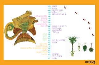 Títeres5
Habíaunavez...11
¿Quéveo?17insectos
18animalesmarinos
19reptiles
20animalesmexicanosenriesgodeextinción
21árbolesyplantas
22leguminosas
Memoria23
Elcaminomáscorto27ciudad
28rancho
29pueblo
30parque
Ahorasoy...31
Lagrancarrera35
Instrucciones36
Lavidadelosanimales39pezaudaz
41mariposamonarca
43iguana
45guacamaya
47berrendo
49sapodemadriguera
Elarteamialrededor51
Tangram55
¿Cómomecuido?59
Dominó61
Lotería65
Índice
preescolar tercer grado 7/23/08 9:44 PM Page 4
 