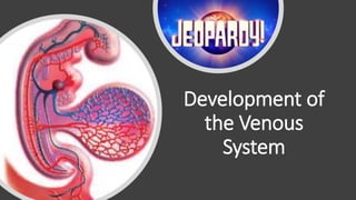 Development of
the Venous
System
 