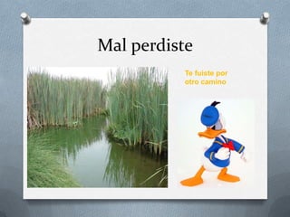 Mal perdiste
Te fuiste por
otro camino

 