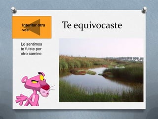 Intentar otra
ves

Lo sentimos
te fuiste por
otro camino

Te equivocaste

 