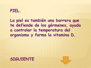 PIEL.

La piel es también una barrera que
te defiende de los gérmenes, ayuda
a controlar la temperatura del
organismo y forma la vitamina D.




SIGUIENTE
 