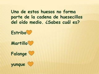 Uno de estos huesos no forma
parte de la cadena de huesecillos
del oído medio. ¿Sabes cuál es?

Estribo

Martillo

Falange

yunque
 