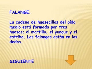 FALANGE.

La cadena de huesecillos del oído
medio está formada por tres
huesos; el martillo, el yunque y el
estribo. Las falanges están en los
dedos.



SIGUIENTE
 