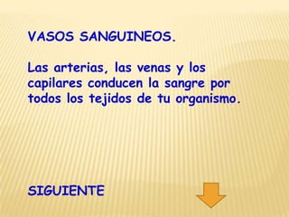 VASOS SANGUINEOS.

Las arterias, las venas y los
capilares conducen la sangre por
todos los tejidos de tu organismo.




SIGUIENTE
 