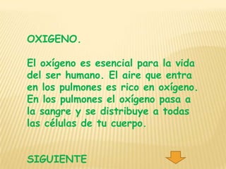OXIGENO.

El oxígeno es esencial para la vida
del ser humano. El aire que entra
en los pulmones es rico en oxígeno.
En los pulmones el oxígeno pasa a
la sangre y se distribuye a todas
las células de tu cuerpo.


SIGUIENTE
 