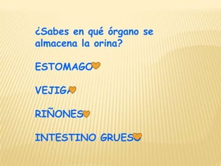 ¿Sabes en qué órgano se
almacena la orina?

ESTOMAGO

VEJIGA

RIÑONES

INTESTINO GRUESO
 