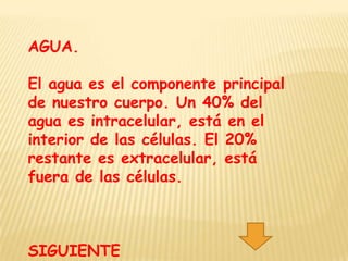AGUA.

El agua es el componente principal
de nuestro cuerpo. Un 40% del
agua es intracelular, está en el
interior de las células. El 20%
restante es extracelular, está
fuera de las células.



SIGUIENTE
 