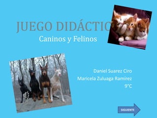 JUEGO DIDÁCTICO 
Caninos y Felinos 
Daniel Suarez Ciro 
Maricela Zuluaga Ramírez 
9°C 
SIGUIENTE 
 