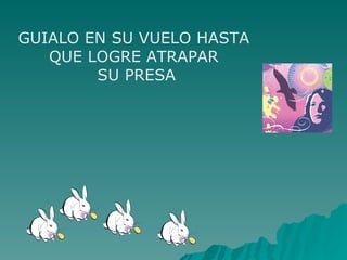 GUIALO EN SU VUELO HASTA  QUE LOGRE ATRAPAR  SU PRESA 