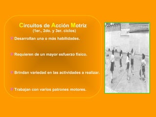 C ircuitos de   A cción  M otriz Desarrollan una o más habilidades. Requieren de un mayor esfuerzo físico. Brindan variedad en las actividades a realizar. Trabajan con varios patrones motores. (1er., 2do. y 3er. ciclos) 