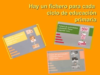 Hay un fichero para cada  ciclo de educación primaria 