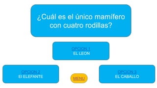 ¿Cuál es el único mamífero
con cuatro rodillas?
OPCION 2
El ELEFANTE
OPCION 3
EL CABALLO
OPCION 1
EL LEON
 