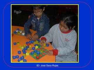 IEI  José Saco Rojas 