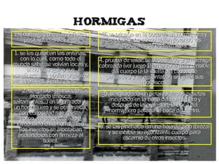 Juegos infantiles en Quesada