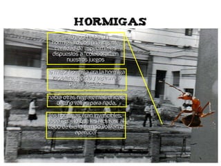 Juegos infantiles en Quesada