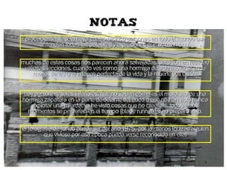 Juegos infantiles en Quesada