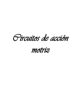 Circuitos de acción
motriz
 