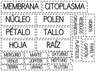 MEMBRANA             CITOPLASMA
NÚCLEO               POLEN




                                ORGÁNICOS
                                 RESIDUOS

                                               VIDRIOS
PÉTALO               TALLO
 HOJA                 RAÍZ


                                 PLÁSTICOS
                                             CARTÓN
                                             PAPEL Y
MERCURIO   MARTE      SATURNO
 VENUS     JÚPITER    NEPTUNO
 TIERRA     URANO      PLUTÓN
 