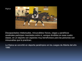 Hipica




Discapacitados intelectuales, minusválidos físicos, ciegos y paralíticos
cerebrales participan mezclados entre sí, aunque divididos en esas cuatro
clases, en un deporte con aspectos muy beneficiosos para las personas con
minusvalías que lo practican.

La Hípica se convirtió en deporte paralímpico en los Juegos de Atlanta del año
1996.
 