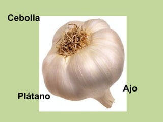 Cebolla
Ajo
Plátano