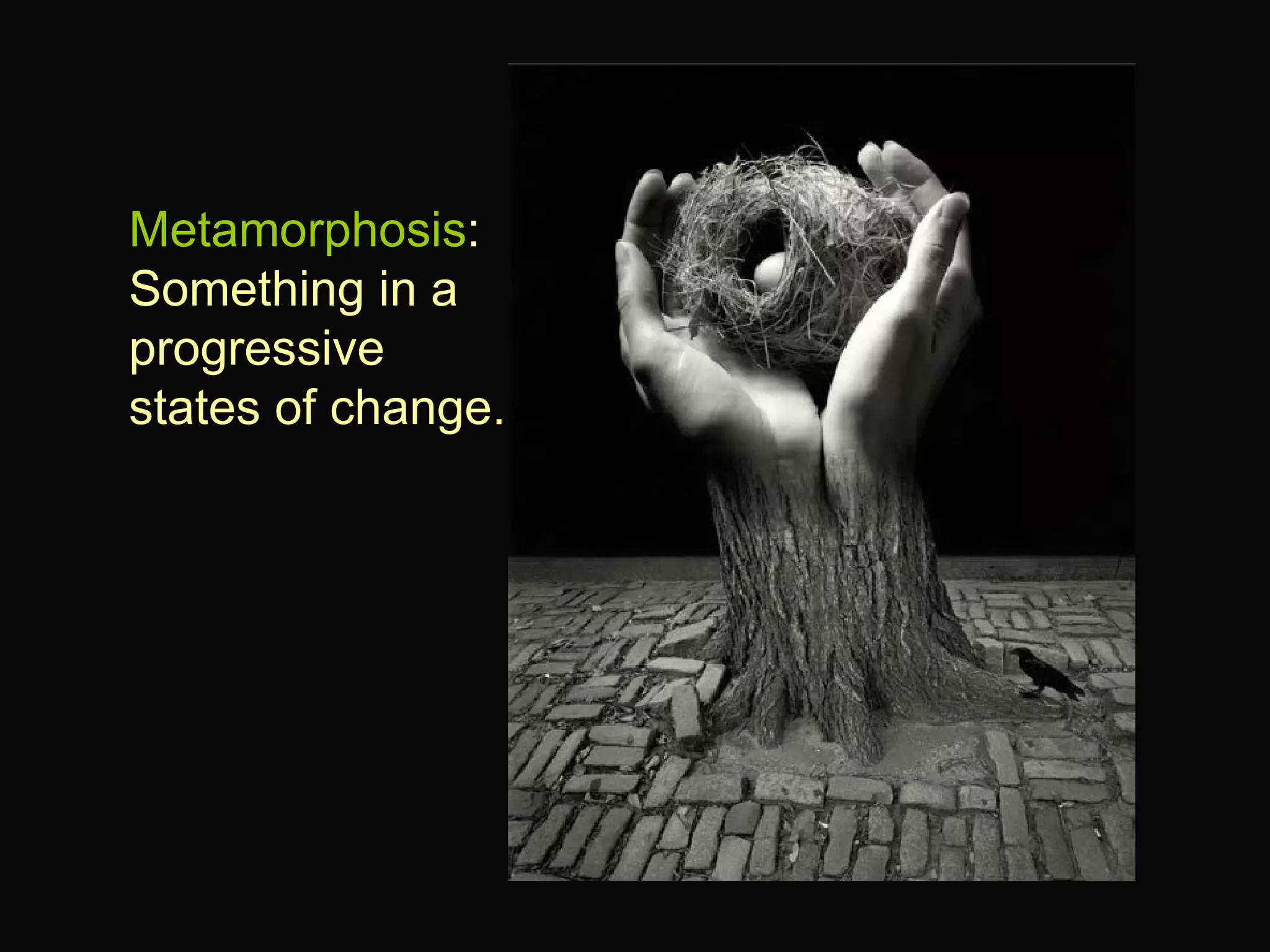 Metamorphosis : Something in a progressive states of change. 