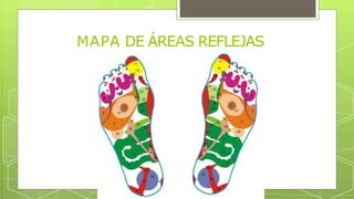 MAPA DE ÁREAS REFLEJAS
 