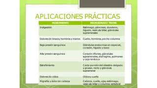 APLICACIONES PRÁCTICAS
PADECIMIENTO MICROZONASA TRATAR
Indigestión Estómago,páncreas, duodeno,
hígado, vesícula biliar, glándulas
suprarrenales
Dolores de brazos, hombros y manos Cuello,hombros, pecho columna
Baja presión sanguínea Glándulas endocrinas en especial,
corazón, hígado y bazo
Alta presión sanguínea Corazón riñones,glándulas
suprarrenales,diafragma, pulmones
y caja torácica
Estreñimiento Cada porción del intestino delgado
y grueso, recto y glándula
suprarrenal
Dolores de oídos Oídosy cuello
Migraña y dolorde cabeza Cabeza, cuello,ojos, estómago,
vesícula biliar y columna vertebral
 