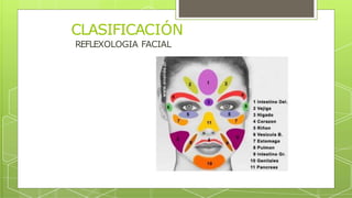 REFLEXOLOGIA FACIAL
CLASIFICACIÓN
 
