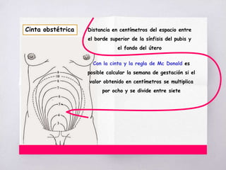 Cinta obstétrica Distancia en centímetros del espacio entre
el borde superior de la sínfisis del pubis y
el fondo del útero
Con la cinta y la regla de Mc Donald es
posible calcular la semana de gestación si el
valor obtenido en centímetros se multiplica
por ocho y se divide entre siete
 