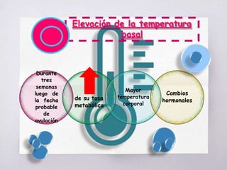 Elevación de la temperatura
basal
Durante
tres
semanas
luego de
la fecha
probable
de
ovulación
de su tasa
metabólica
Mayor
temperatura
corporal
Cambios
hormonales
 