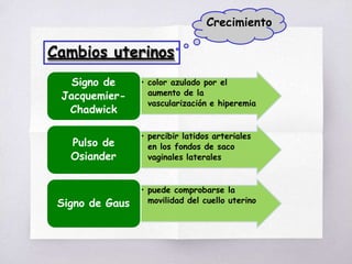 Cambios uterinos
Crecimiento
• color azulado por el
aumento de la
vascularización e hiperemia
Signo de
Jacquemier-
Chadwick
• percibir latidos arteriales
en los fondos de saco
vaginales laterales
Pulso de
Osiander
• puede comprobarse la
movilidad del cuello uterino
Signo de Gaus
 