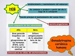 Gonadotropina
coriónica
humana
HCG
establecimiento y mantenimiento del embarazo
Se comienza a producir a partir del día 6
luego de la concepción
función principal el mantenimiento del cuerpo lúteo
secreta progesterona
Alfa Beta
Gran parecido Difiere
bioquímico con antigenicamente
las de la subunidad
glicoproteínas de beta de las
las hormonas
(FSH), (LH);
otras.
no sirve por su
similitud
Está compuesta de dos subunidades
sintetizada en las células del sincitiotrofoblasto
 