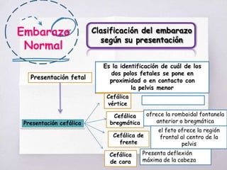 Embarazo
Normal
Clasificación del embarazo
según su presentación
Presentación fetal
Presentación cefálica
Es la identificación de cuál de los
dos polos fetales se pone en
proximidad o en contacto con
la pelvis menor
Cefálica
la fontanela posterior
vértice
Cefálica
bregmática
ofrece la romboidal fontanela
anterior o bregmática
Cefálica de
frente
el feto ofrece la región
frontal al centro de la
pelvis
Cefálica
de cara
Presenta deflexión
máxima de la cabeza
 