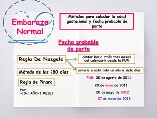 Embarazo
Normal
Métodos para calcular la edad
gestacional y fecha probable de
parto
Fecha probable
de parto
Regla De Naegele
contar hacia atrás tres meses
del calendario desde la FUR
sumarle a este dato un año y siete días
FUR: 20 de agosto de 2011
20 de mayo de 2011
20 de mayo de 2012
27 de mayo de 2012
Método de los 280 días
Regla de Pinard
FUR
+10+1 AÑO-3 MESES
 