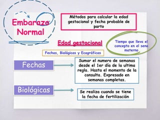 Embarazo
Normal
Métodos para calcular la edad
gestacional y fecha probable de
parto
Edad gestacional Tiempo que lleva el
concepto en el seno
materno
Fechas, Biológicas y Ecográficas
Fechas
Sumar el numero de semanas
desde el 1er día de la ultima
regla. Hasta el momento de la
consulta. Expresado en
semanas completas.
Biológicas Se realiza cuando se tiene
la fecha de fertilización
 