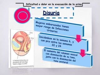 Disuria
Dificultad o dolor en la evacuación de la orina
 
