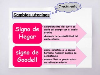 Cambios uterinos
Crecimiento
• ablandamiento del punto de
unión del cuerpo con el cuello
uterino
• Aumento de la elasticidad del
cuello uterino
Signo de
Hegar
• cuello sometido a la acción
hormonal también cambia de
consistencia
• semana 5-6 se puede notar
un reblandecimiento
signo de
Goodell
 