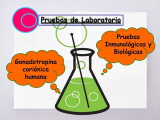 Pruebas de Laboratorio
Gonadotropina
coriónica
humana
Pruebas
Inmunológicas y
Biológicas
 