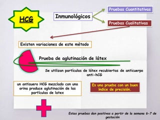 HCG Inmunológicos
Pruebas Cualitativas
Pruebas Cuantitativas
Existen variaciones de este método
un antisuero HCG mezclado con una
orina produce aglutinación de las
partículas de latex
Prueba de aglutinación de látex
Se utilizan partículas de látex recubiertas de anticuerpo
anti-hCG
Es una prueba con un buen
índice de precisión.
Estas pruebas dan positivas a partir de la semana 6-7 de
gestación
 