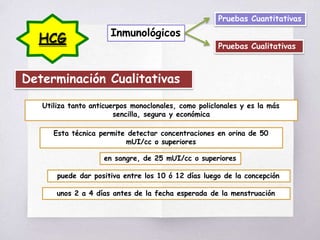 HCG Inmunológicos
Pruebas Cualitativas
Pruebas Cuantitativas
Determinación Cualitativas
Utiliza tanto anticuerpos monoclonales, como policlonales y es la más
sencilla, segura y económica
Esta técnica permite detectar concentraciones en orina de 50
mUI/cc o superiores
en sangre, de 25 mUI/cc o superiores
puede dar positiva entre los 10 ó 12 días luego de la concepción
unos 2 a 4 días antes de la fecha esperada de la menstruación
 