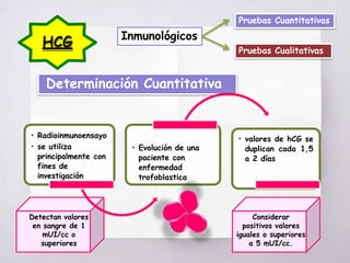 HCG Inmunológicos
Pruebas Cualitativas
Pruebas Cuantitativas
Determinación Cuantitativa
• Radioinmunoensayo
• se utiliza
principalmente con
fines de
investigación
• Evolución de una
paciente con
enfermedad
trofoblastica
• valores de hCG se
duplican cada 1,5
a 2 días
Detectan valores
en sangre de 1
mUI/cc o
superiores
Considerar
positivos valores
iguales o superiores
a 5 mUI/cc.
 