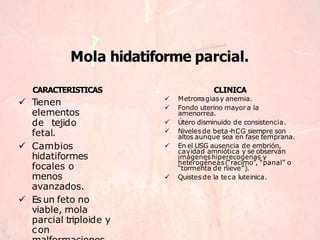 Mola hidatiforme parcial.
CARACTERISTICAS
 Tienen
elementos
de tejido
fetal.
 Cambios
hidatiformes
focales o
menos
avanzados.
 Es un feto no
viable, mola
parcial triploide y
con
CLINICA
 Metrorragiasy anemia.
 Fondo uterino mayora la
amenorrea.
 Útero disminuido de consistencia.
 Nivelesde beta-hCG siempre son
altos aunque sea en fase temprana.
 En el USG ausencia de embrión,
cavidad amniótica y se observan
imágeneshiperecogenas y
heterogéneas(“racimo”, “panal” o
“tormenta de nieve”).
 Quistes de la teca luteinica.
 