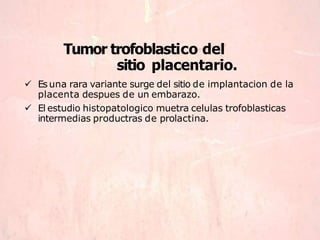 Tumor trofoblastico del
sitio placentario.
 Es una rara variante surge del sitio de implantacion de la
placenta despues de un embarazo.
 El estudio histopatologico muetra celulas trofoblasticas
intermedias productras de prolactina.
 