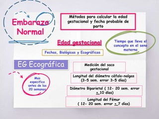 Embarazo
Normal
Métodos para calcular la edad
gestacional y fecha probable de
parto
Edad gestacional Tiempo que lleva el
concepto en el seno
materno
Fechas, Biológicas y Ecográficas
EG Ecográfica Medición del saco
gestacional
Longitud del diámetro céfalo-nalgas
(3-5 sem. error 3-5 días)
Diámetro Biparietal ( 12- 20 sem. error
+ 10 días)
Longitud del Fémur
( 12- 20 sem. error + 7 días)
Mas
especifico
antes de las
20 semanas
 