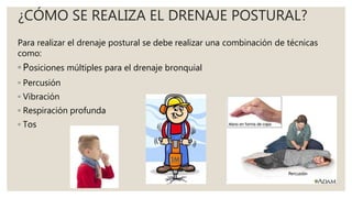 ¿CÓMO SE REALIZA EL DRENAJE POSTURAL?
Para realizar el drenaje postural se debe realizar una combinación de técnicas
como:
◦ Posiciones múltiples para el drenaje bronquial
◦ Percusión
◦ Vibración
◦ Respiración profunda
◦ Tos
 