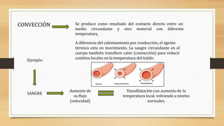 Se produce como resultado del contacto directo entre un
medio circundante y otro material con diferente
temperatura,
A diferencia del calentamiento por conducción, el agente
térmico esta en movimiento. La sangre circundante en el
cuerpo también transfiere calor (convección) para reducir
cambios locales en la temperatura del tejido.
CONVECCIÓN
Ejemplo:
SANGRE
Aumento de
su flujo
(velocidad)
Vasodilatación con aumento de la
temperatura local, volviendo a niveles
normales.
 