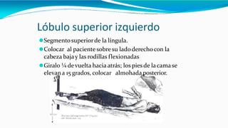Lóbulo superior izquierdo
⚫Segmentosuperiorde la língula.
⚫Colocar al paciente sobre su ladoderechocon la
cabeza bajay las rodillas flexionadas
⚫Giralo ¼ devuelta hacia atrás; los pies de lacamase
elevana 15 grados, colocar almohada posterior.
 