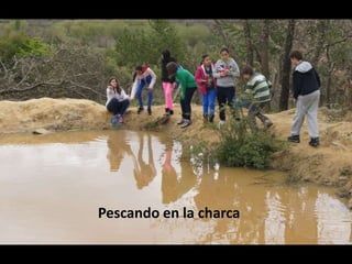 Pescando en la charca
 